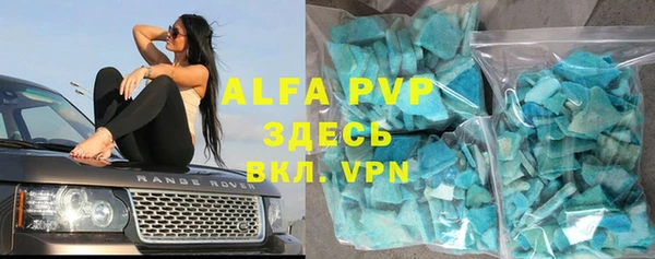 стаф Пестово